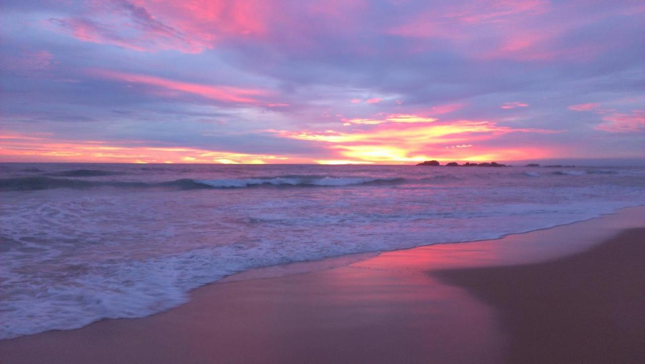 Sundance Surf Coconut Point Hotel Weligama Ngoại thất bức ảnh