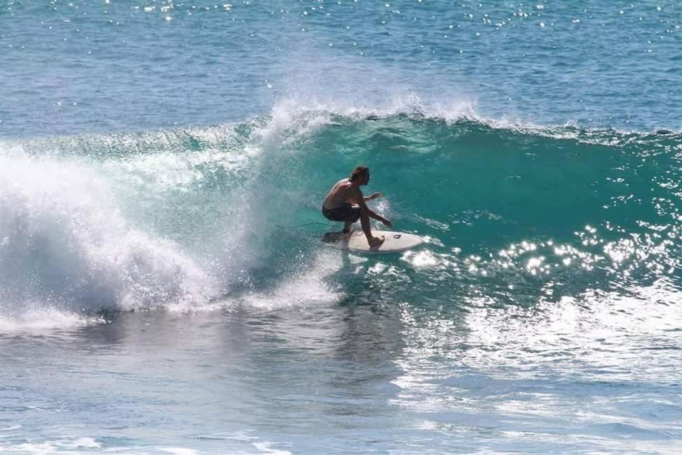 Sundance Surf Coconut Point Hotel Weligama Ngoại thất bức ảnh